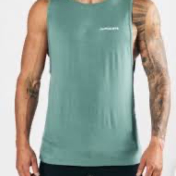 Alphalete Aspire Gray Cotton Spandex Tank Top Men’s Large - Picture 1 of 6